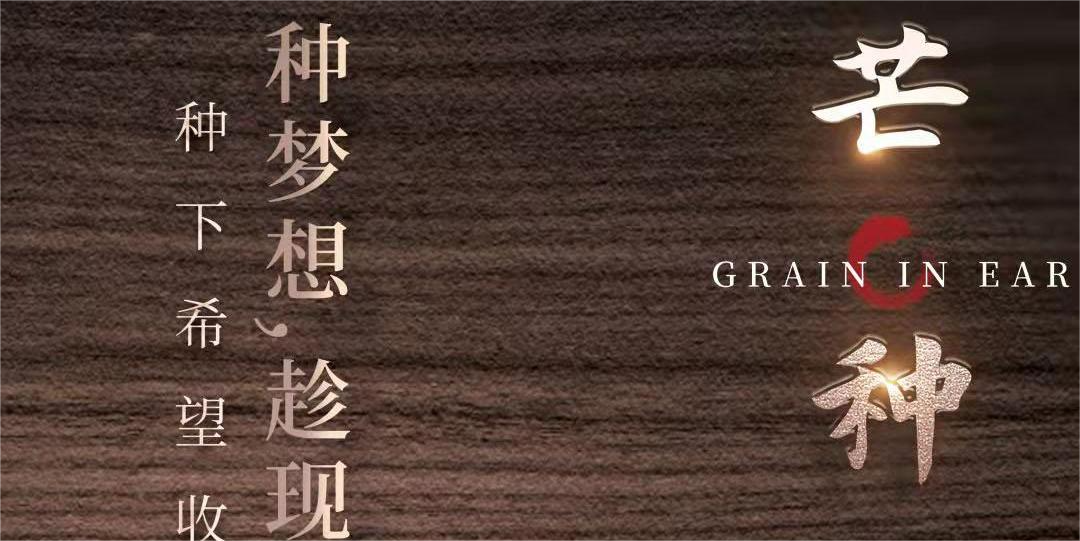 生活不“芒”，慢慢播“種”